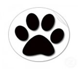 Pet Shops em Pindamonhangaba